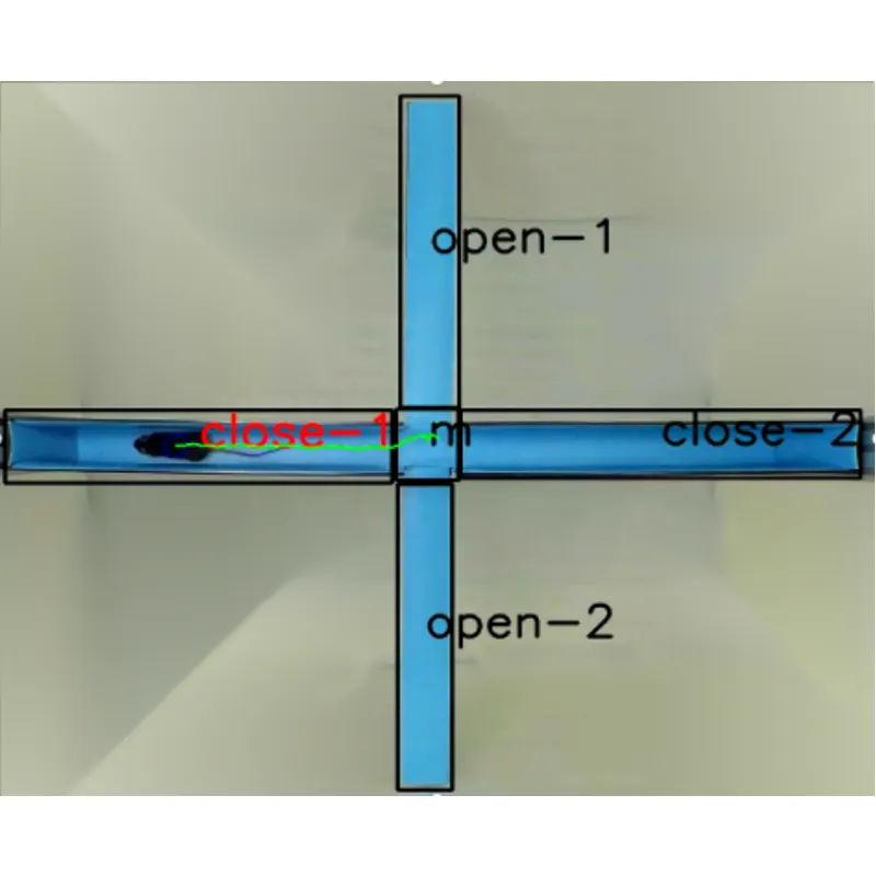 Ανυψωμένος λαβύρινθος συν